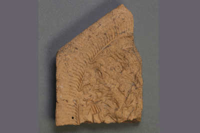 Fragment eines Backmodels aus Keramik von der Burg Bartenstein, Partenstein, Ende 15. Jh., Museum Ahler Kram, Fd. Nr. 1979, H. 7,2 cm, Br. 5,4 cm