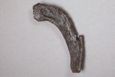 Fragment eines Hufeisens von der Burg Bartensten, Partenstein, 16. Jh., Museum Ahler Kram, Fd. Nr. 1250b, H. 9,8 cm, Br. 7,1 cm